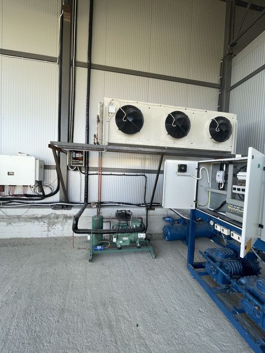 Холодильна Камера для сортуваня ягоди