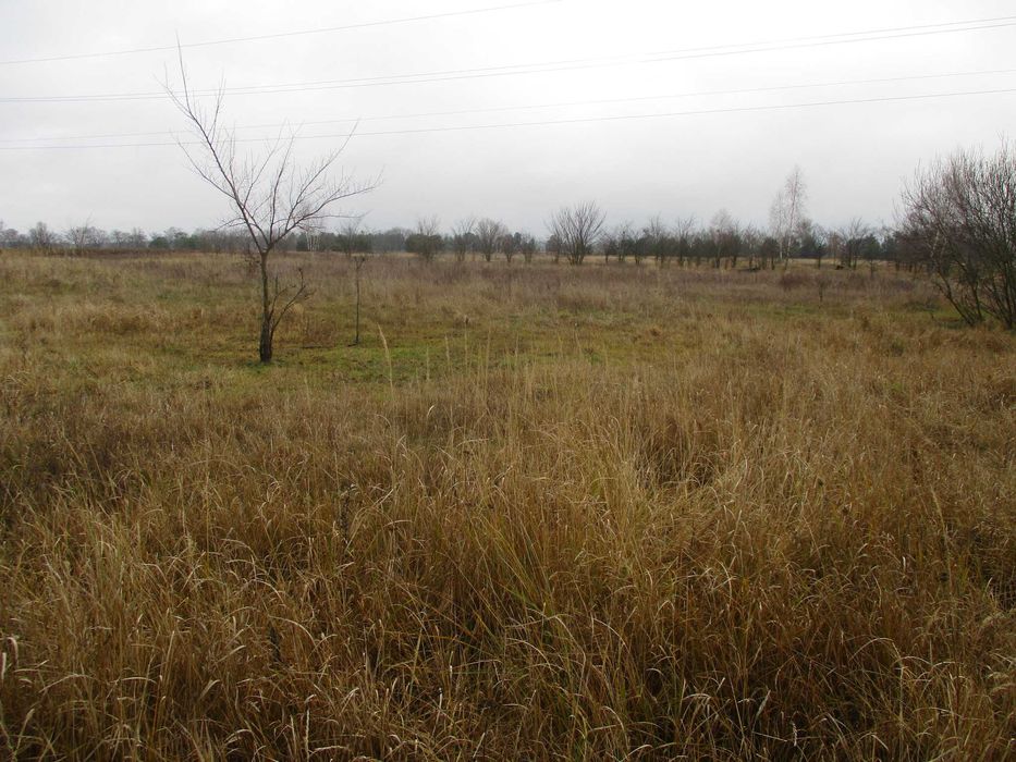 Продаж земельної ділянки 21 сот. Київська обл., с.Жукин      8500$