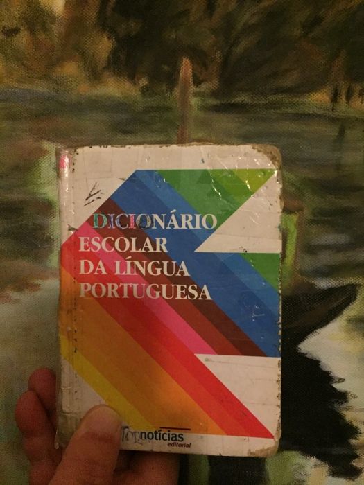 2x dicionários de língua portuguesa e dois compêndios de gramática