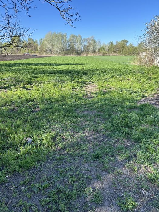 Продам дом и участок 25 соток