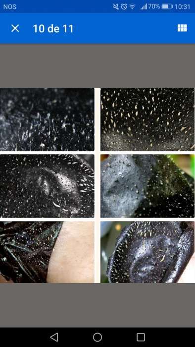 Removedor de impuresas mineral preto