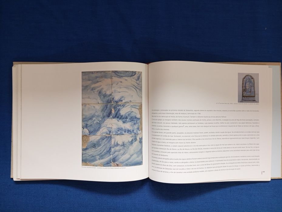 Livro "A terra tremeu e o mar transbordou"