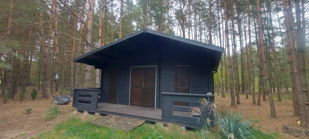 Działka z domkiem Andzin totalna dzicz niedaleko Warszawy