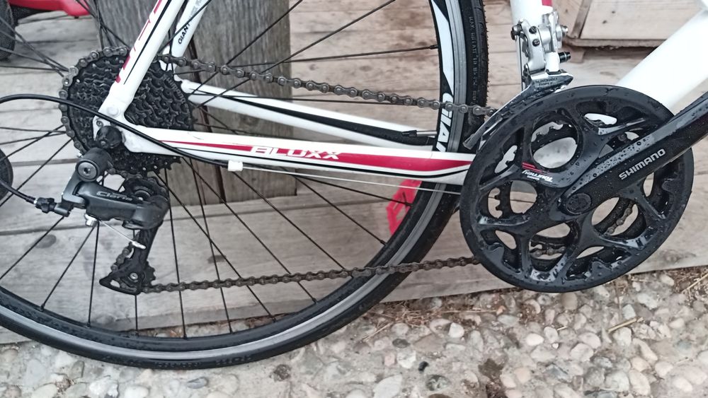 Rower Szosowy Giant Defy 4 | Rozmiar L | Stan Powystawowy  | Claris