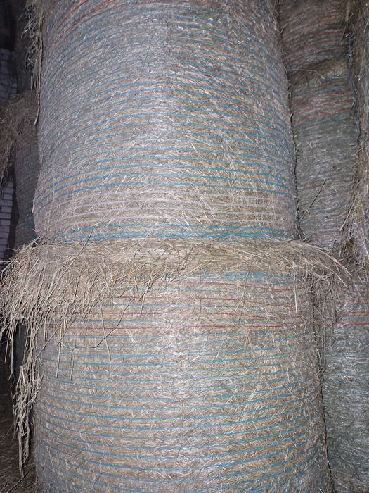 Siano pierwszy pokos