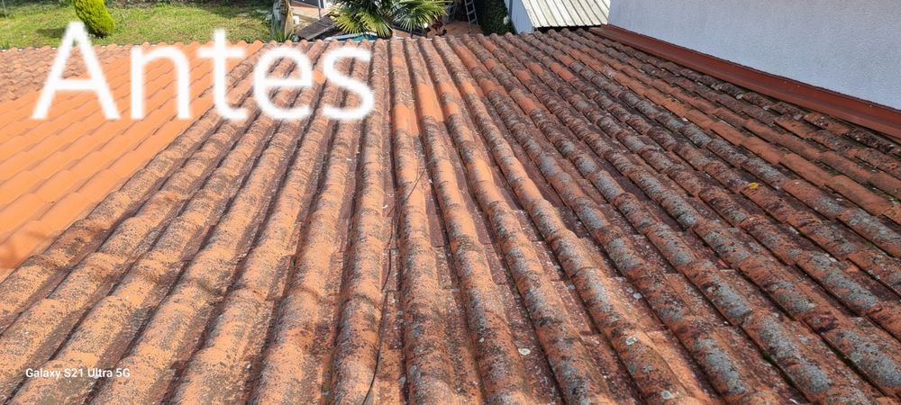 Lavagem, tratamento, rectificação, manutenção e pintura de telhados.