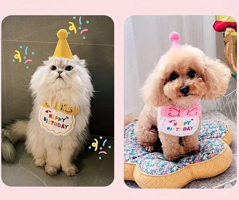 Babete + chapeu - aniversário cao / gato