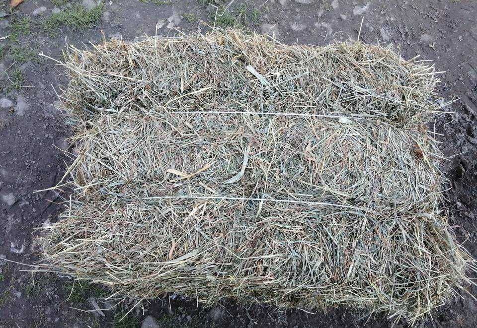 Sprzedam siano ..