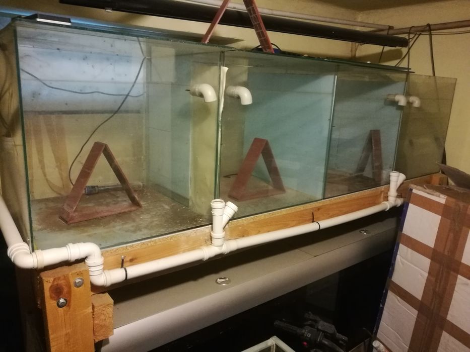 Akwaria po paletkach