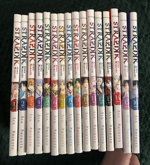 Seria "Strażnik domu Momochi" - Aya Shouoto