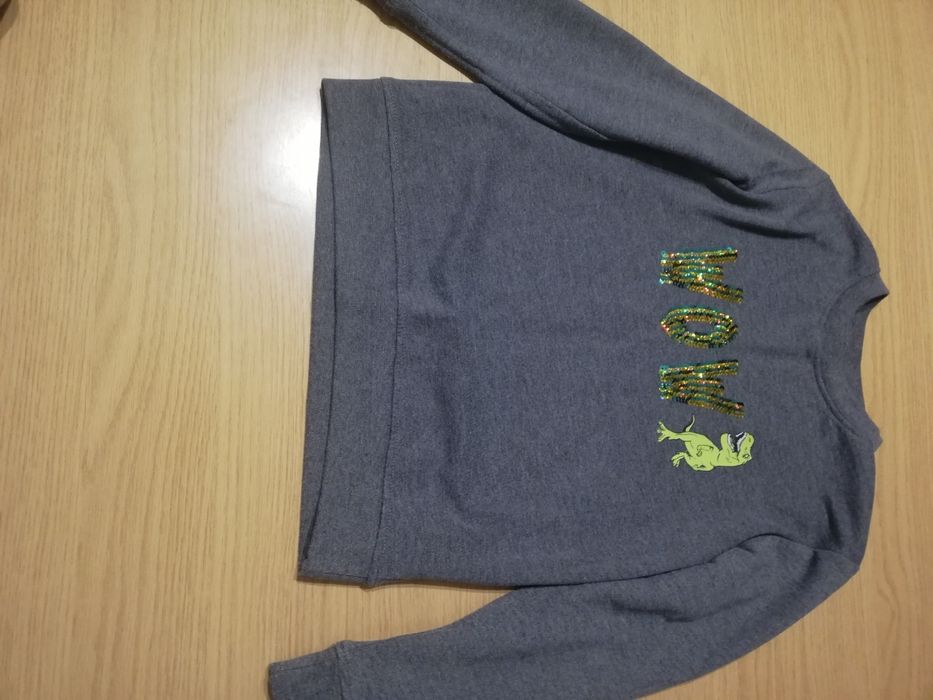 Bluza chłopięca z dinozałrem