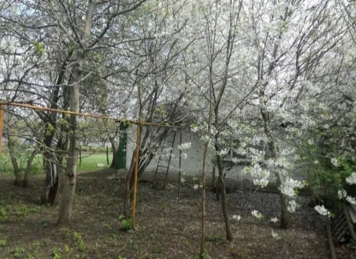 Продам будинок Полтавська область