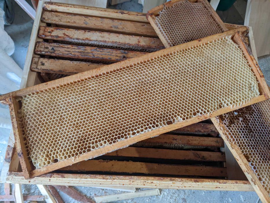 Суш дадан 300мм, магазинка 145мм