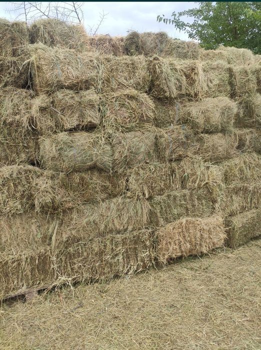 Тюки сіна,  (великі)
