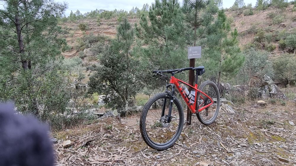 Bicicleta Trek Marlin 8