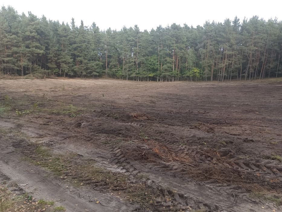 Działka na sprzedaż Fidest