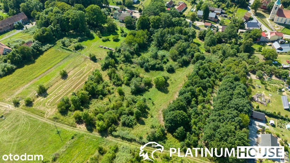 działka 7 900 m² z Decyzją O Warunkach Zabudowy - Widok 3