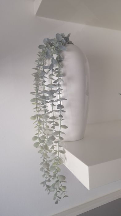 Conjunto Decoração: Plantas Verdadeiras + Plantas Artificiais em Jarras + Jarra de Vidro + Regador GRÁTIS