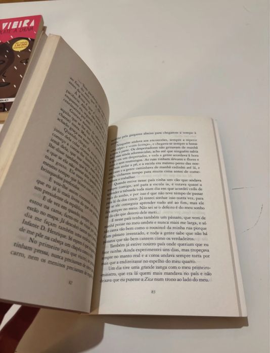 Rosa, minha irmã rosa, de alice vieira