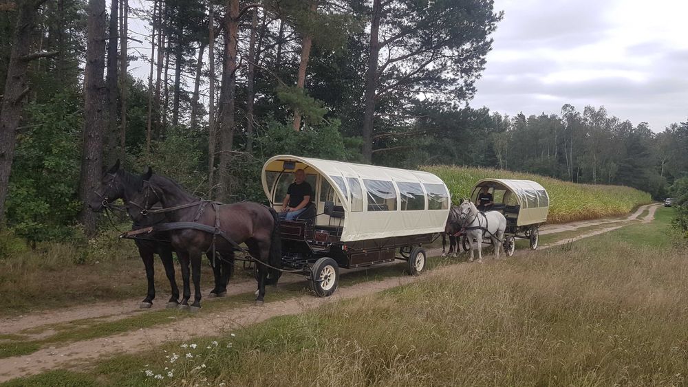 Domki letniskowe Kaszuby - Domek z kominkiem Domek nad jeziorem