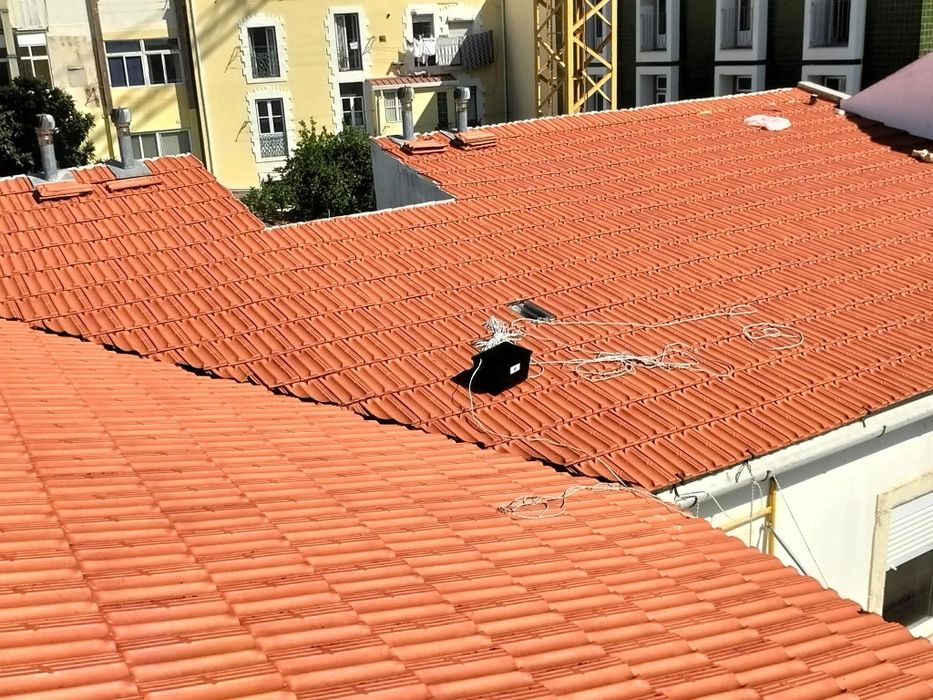 Pintor Profissional