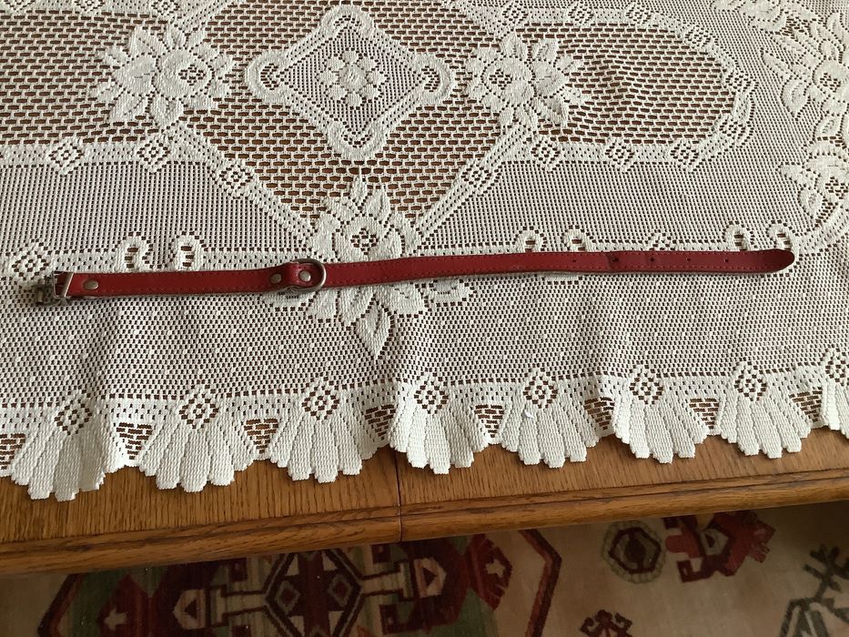 Obroża dla psa używana