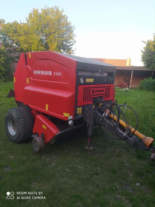 Sprzedam prase ursus z-543