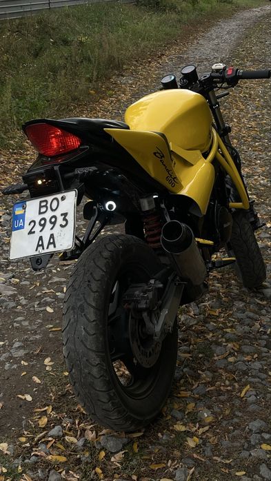 Suzuki Bandit 600 Viper