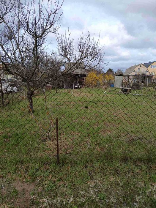 Новосілки( Вишгород), Кедр, ділянка 5.3 сотки