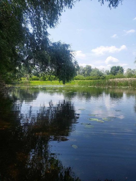 Ділянка в мальовничому місці
