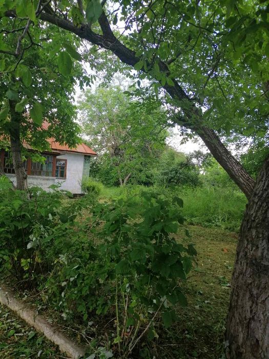 Продаж будинку в Шпикові вул Нова