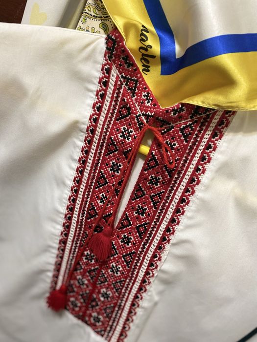 Вишинка на хлопчика
