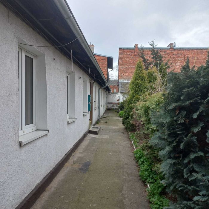 Zdjęcie 8