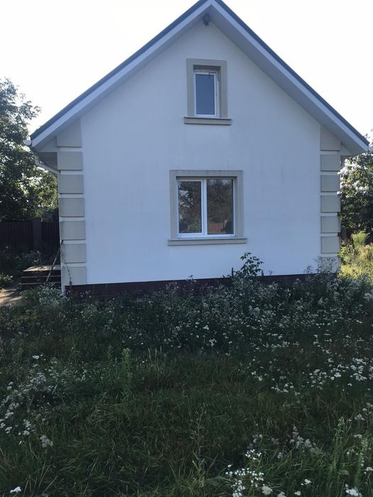Продаж будинку, Віленка, Коростишев, 180м2, 96соток – pohled 5