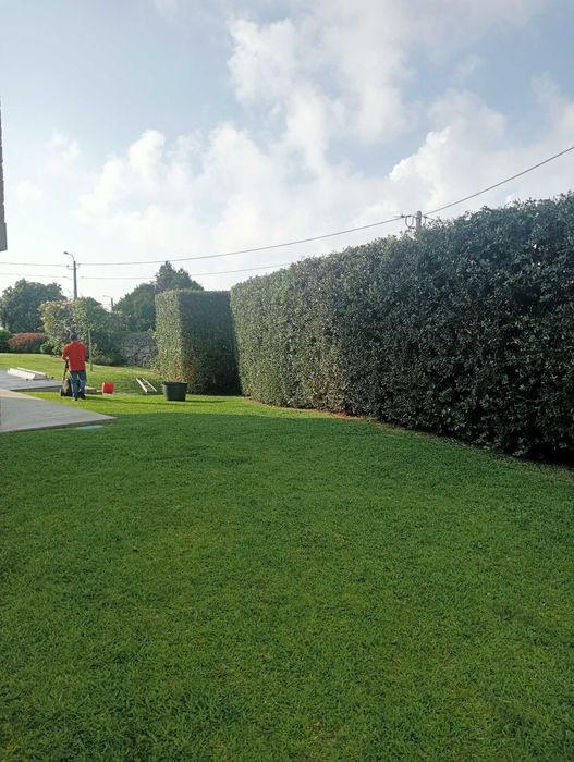 Construção e Manutenção de Jardins