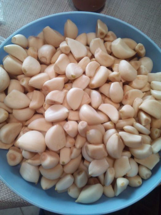 czosnek ząbki 2 kg na czysto