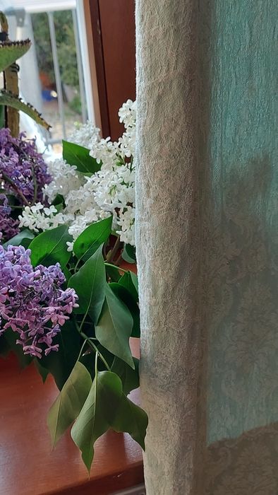 Elegancka, długa zasłona na przelotkach żakard cotton blue pastel