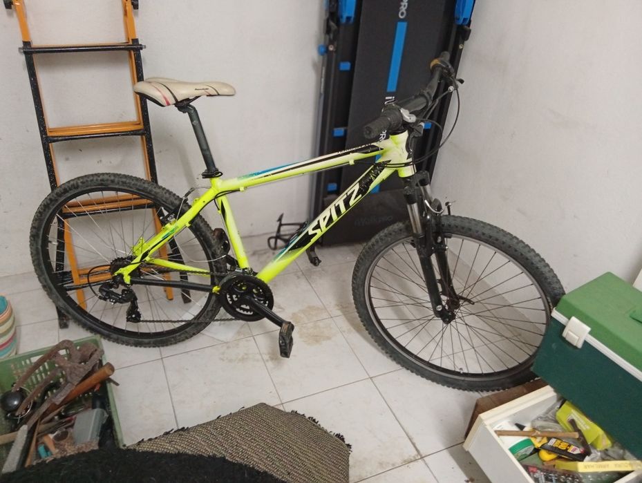 Bicicleta Spitz Terrain 10