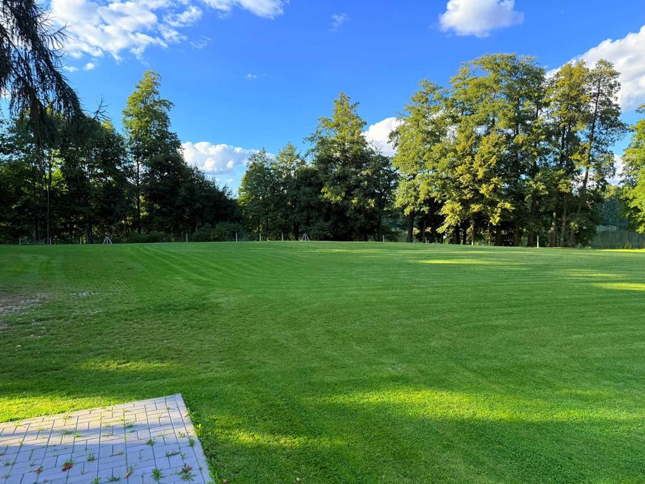 Wydzierżawie działkę nad jeziorem