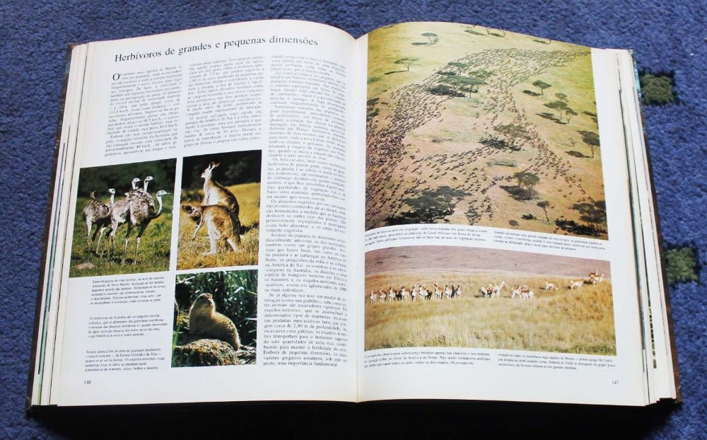 Ao encontro da natureza - Como explorar e apreciar o mundo fascinante