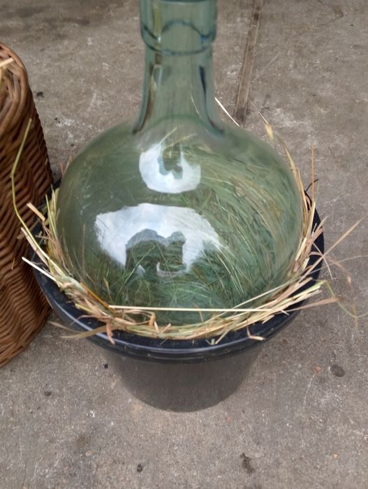 Gąsior Balon na wino