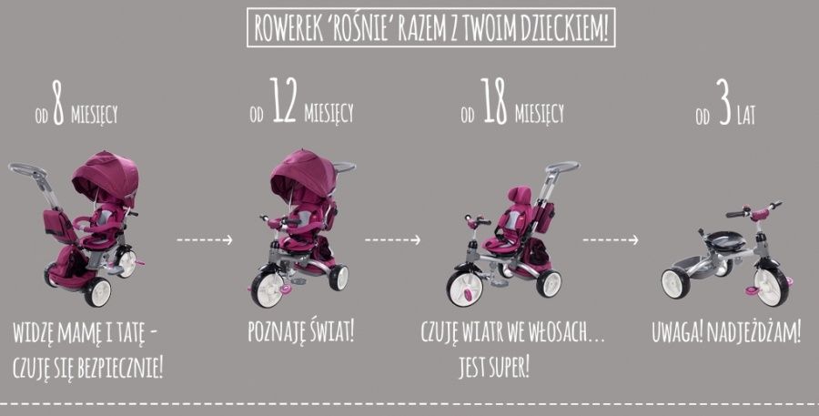 Rowerek SUN BABY Little Tiger