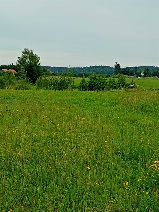 Działka z warunkami zabudowy 1083m2/ Brajniki/ Warchały/ j.Świętajno