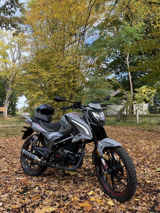 Musstang Region 250-9R