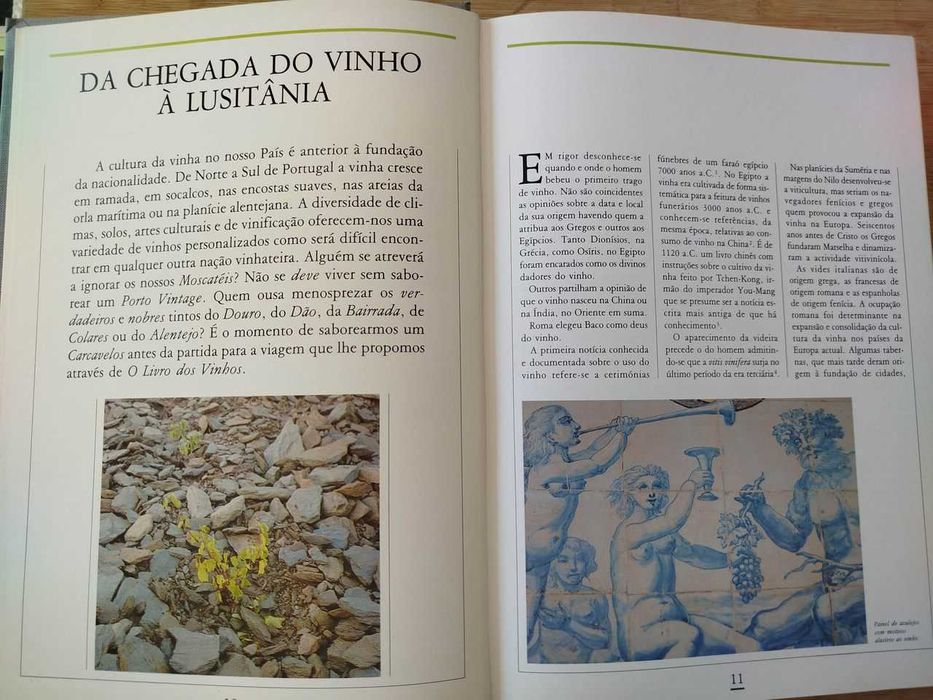 Livro dos Vinhos - Portes Gratis