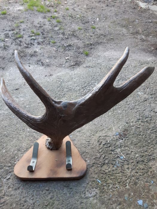 Роги лося оригінальні