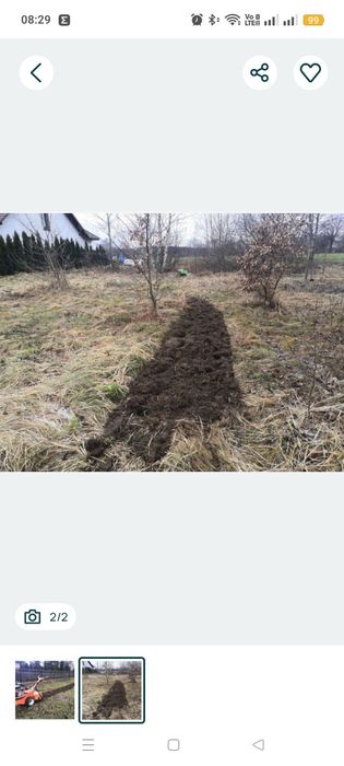 Glebogryzarka hydrauliczna wynajem