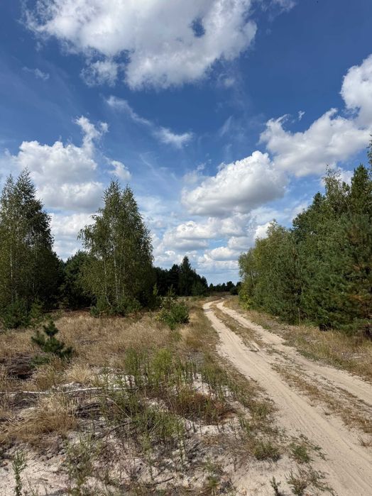 15 ділянок по 2га під бізнес поряд Варшавської траси без %