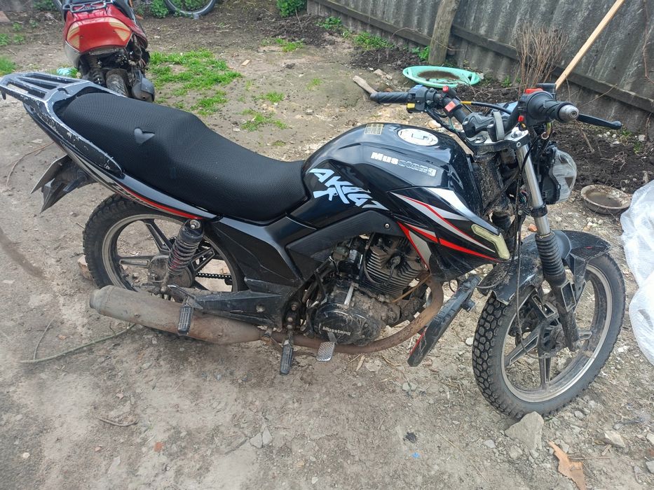 Мустан фортуна200