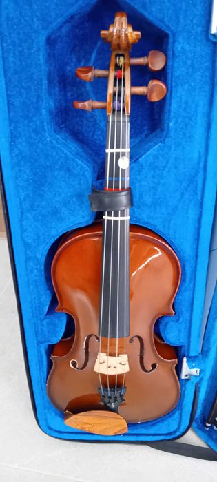Instrumento musical: viola